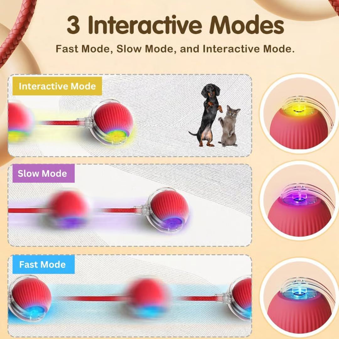 RollBuddy™ Smart Pet Toy